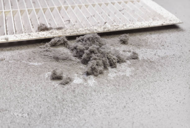 Best Residential Air Duct Cleaning  in Warrensburg, IL
