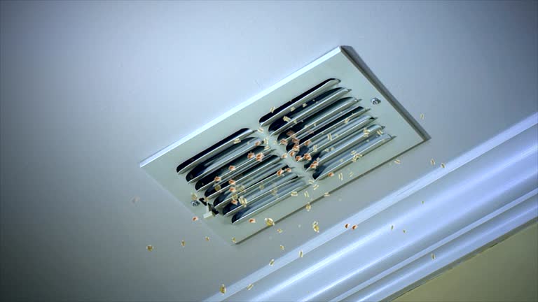 Best HVAC Air Duct Cleaning  in Warrensburg, IL