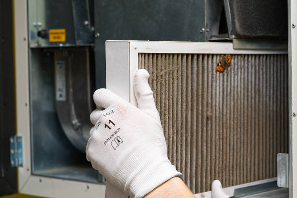 Best Air Duct Cleaning Near Me  in Warrensburg, IL