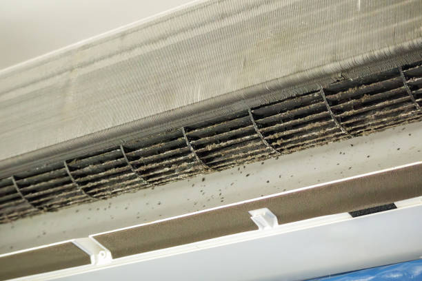 Best Affordable Duct Cleaning Services  in Warrensburg, IL