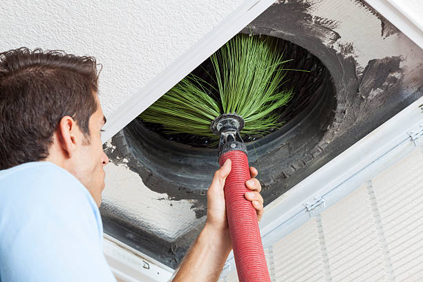 Best Air Duct Cleaning Near Me  in Warrensburg, IL